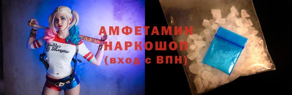 шишки Абаза