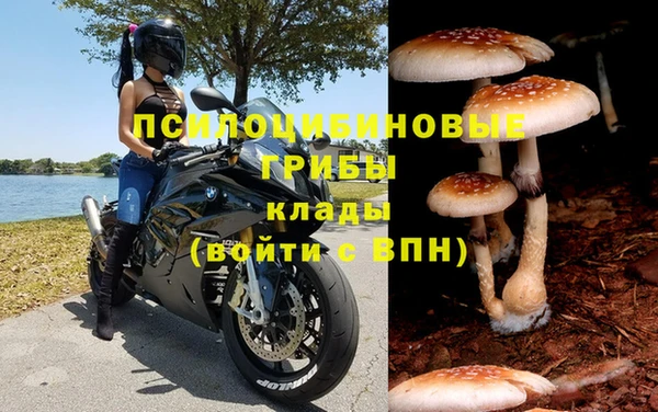 apvp Абинск