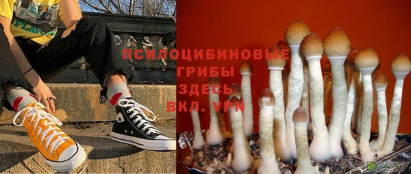 твердый Покровск