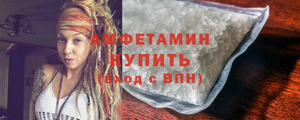 шишки Абаза