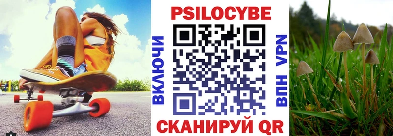 Псилоцибиновые грибы мицелий  Алексин 
